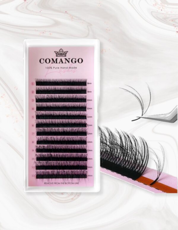 Blister 3D Camellia CoMango – Curvatura LC